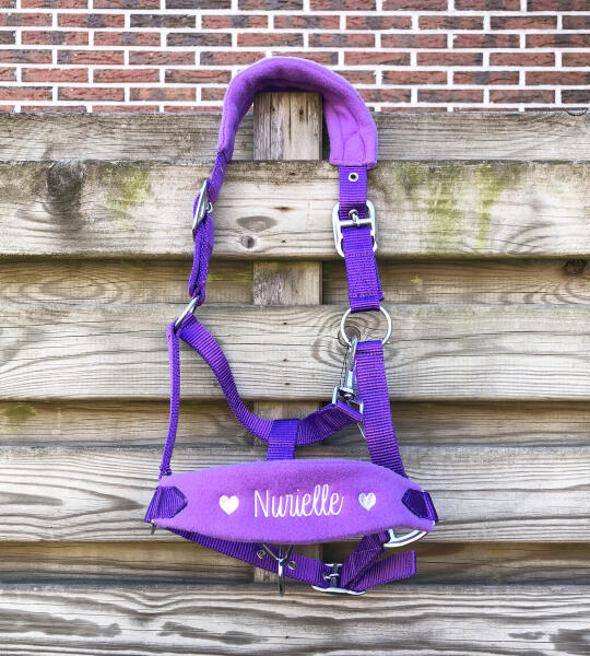 Halster met naam en figuurtjes